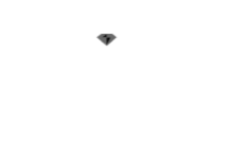 RJO IJO white logo